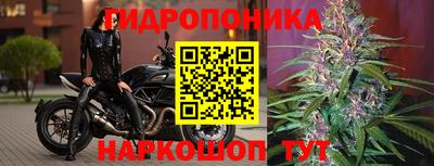 дживик Заводоуковск