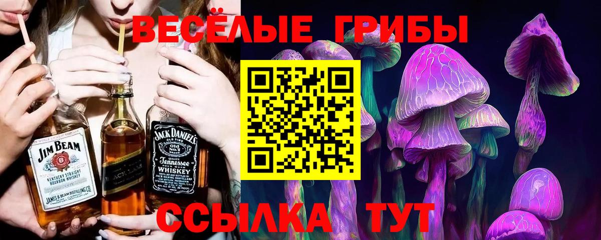 купить наркотики сайты  Вход с VPN  Лыткарино  Галлюциногенные грибы мицелий 